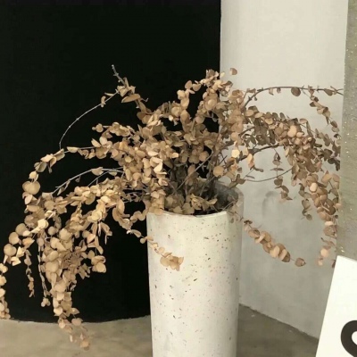 Furry插画创意构思思路福瑞交流群